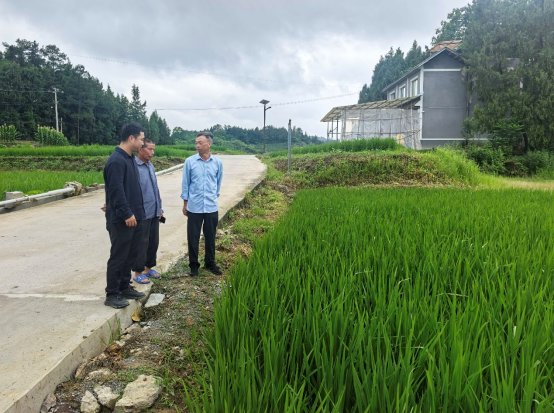 贵州省农科院水稻所专家赋能水稻大面积单产提升.