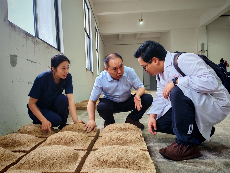 酱科所工作人员到酒企查看制酒。