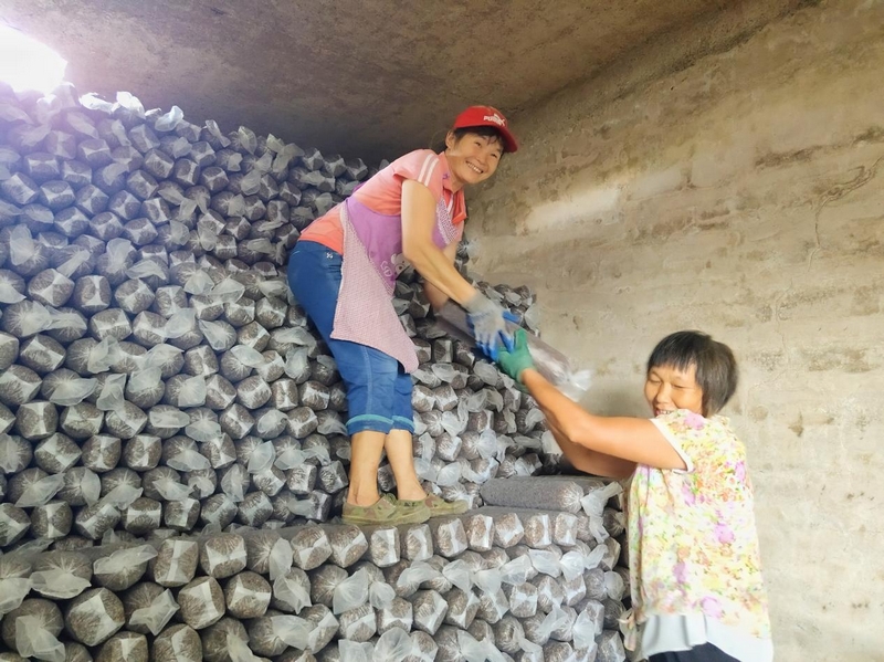 农户正在搬运生态农产品。