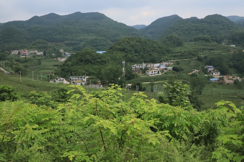 六广镇一角。