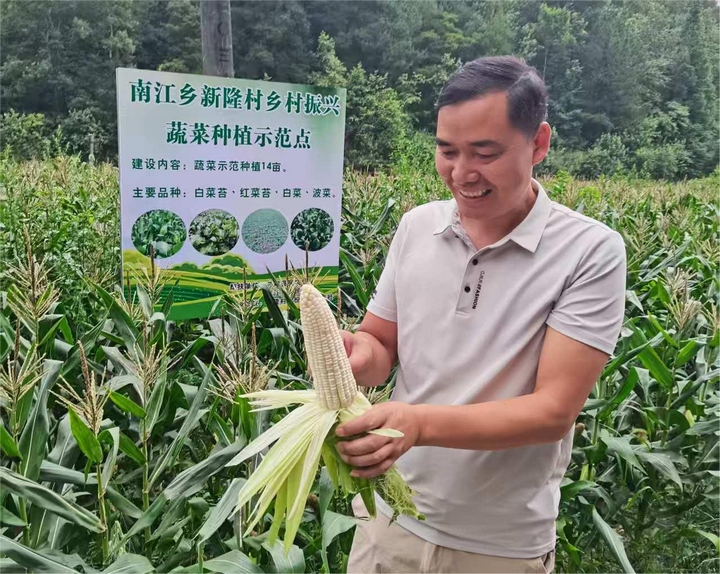 种植示范点.jpg