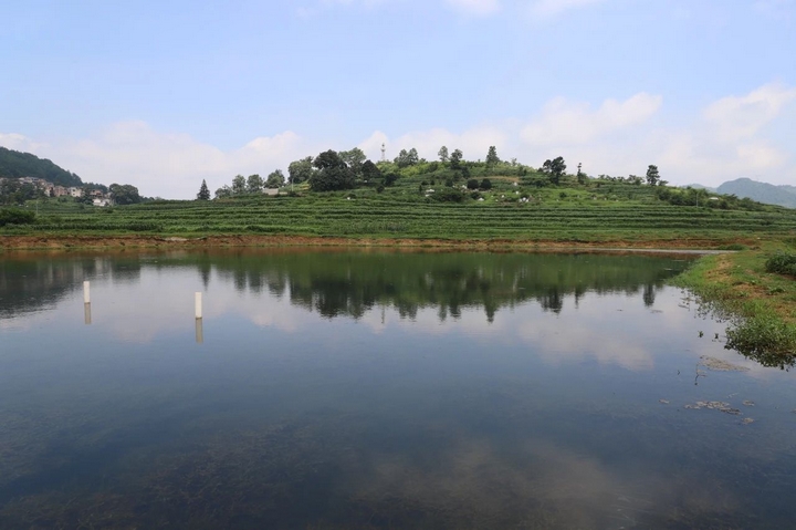 小龙虾养殖基地.jpg