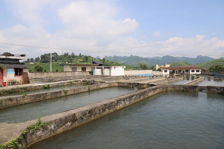鲟鱼养殖基地.jpg