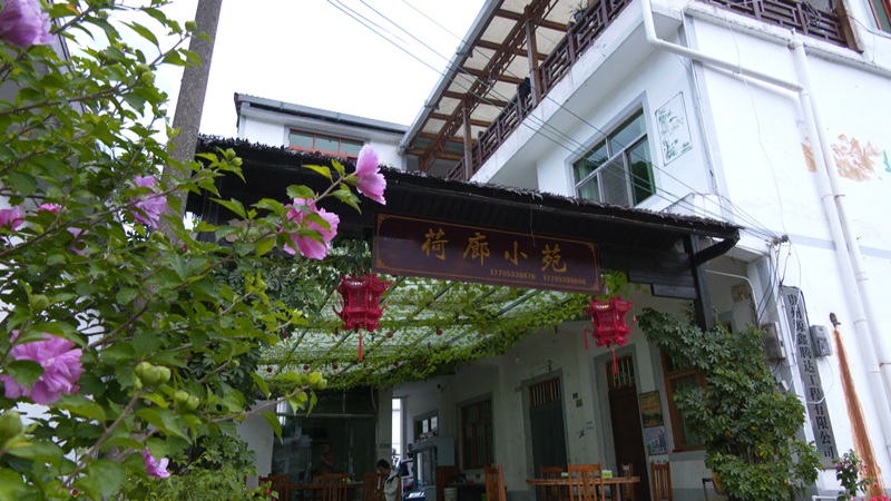 荷廊小苑。