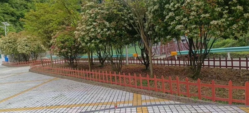 前庭后院。