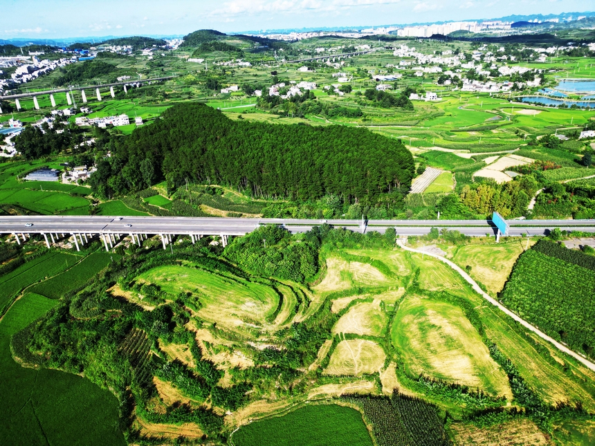 2025年7月20日，夏日的贵州省黔西市林泉镇合心村，高速公路与田园、村居、远山相映成景，乡村如画。 