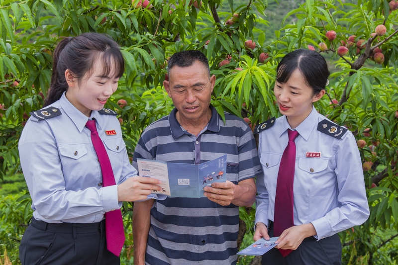 兴义市税务局税务干部走进绿化村桃园种植基地，向果农了解桃业种植情况，开展涉农税费政策宣讲，解答涉税疑难问题。张松摄