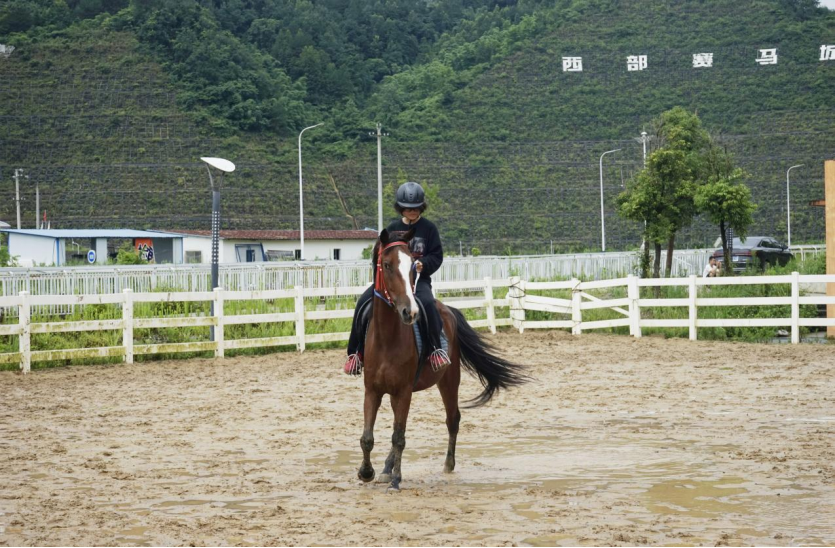 活动现场。