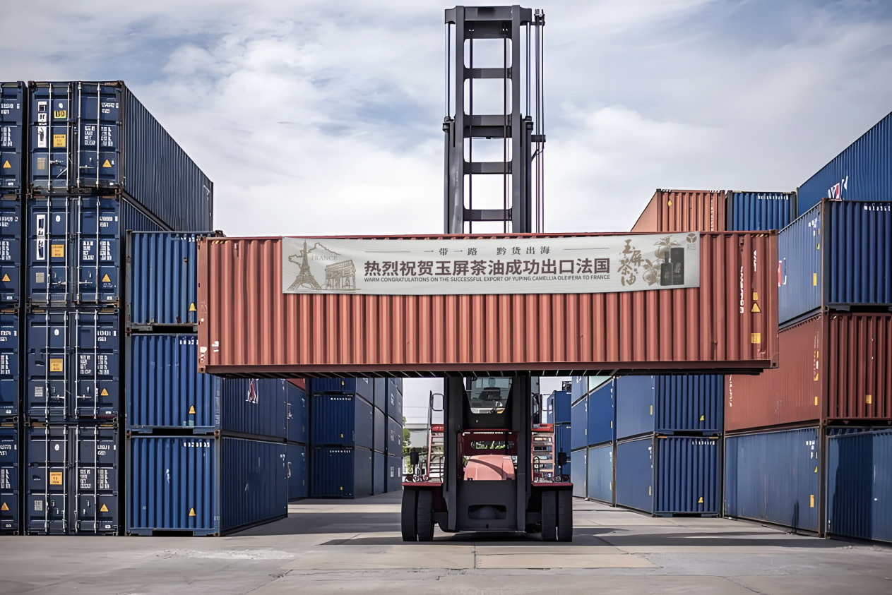 贵州玉屏:粤黔协作助力茶油“进军”国际市场。