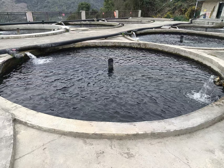 “开阳模式”鲟鱼养殖场。