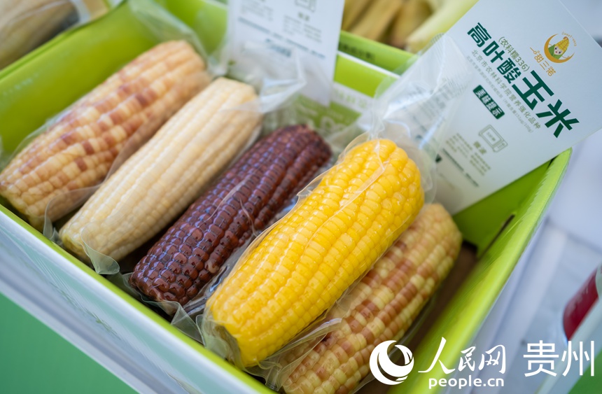 现场展出的鲜食玉米。人民网记者 涂敏摄