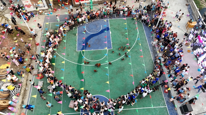 剑河县平鸟村“吃新节”活动中，群众在参加蒙眼抓鸡鸭游戏。姜泽光 摄.JPG