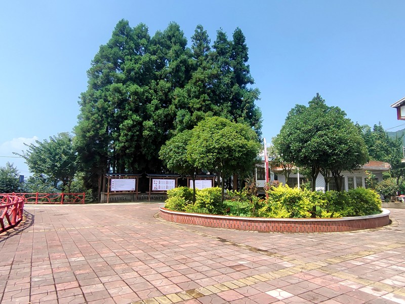 小壩鎮公雞山村廣場干淨整潔。萬飄陽攝