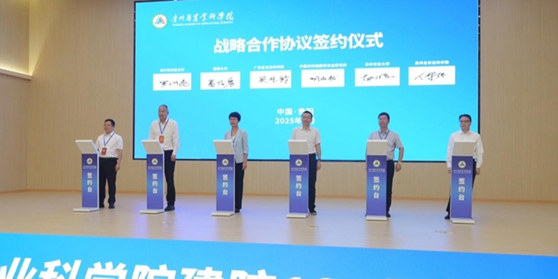 签约仪式现场。