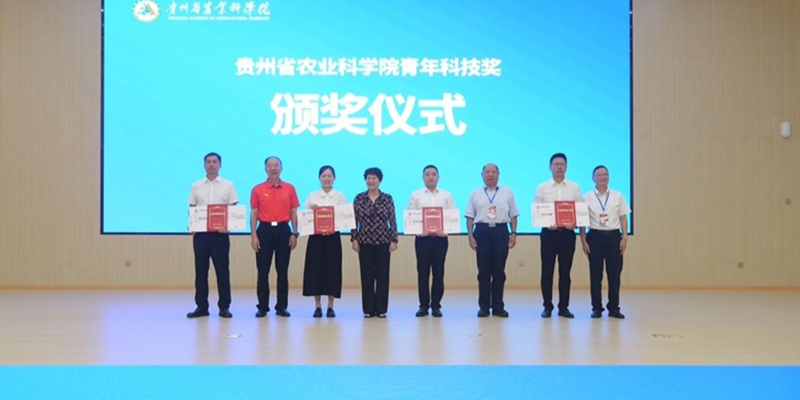 颁奖仪式现场。