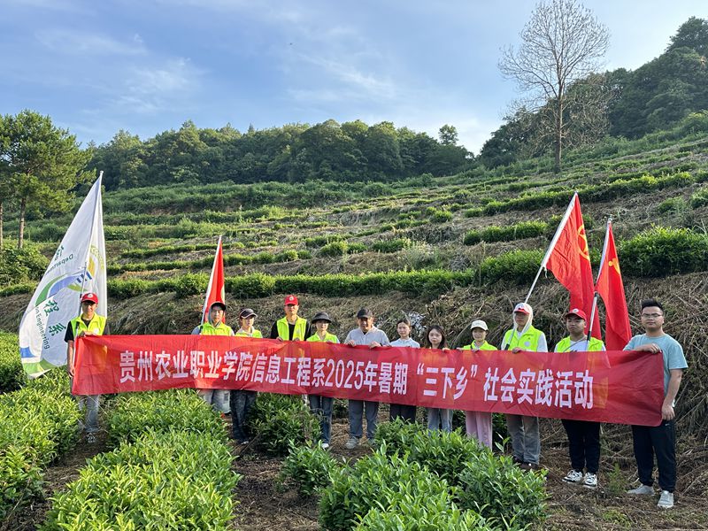 活动现场。