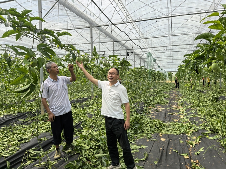 摸完果子后发出赞扬.jpg