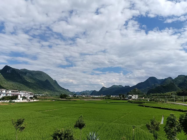 万峰林风光.jpg