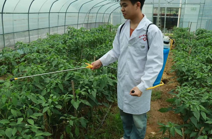 铜仁职业技术大学:科技赋能农业 青春守护“贵辣”。