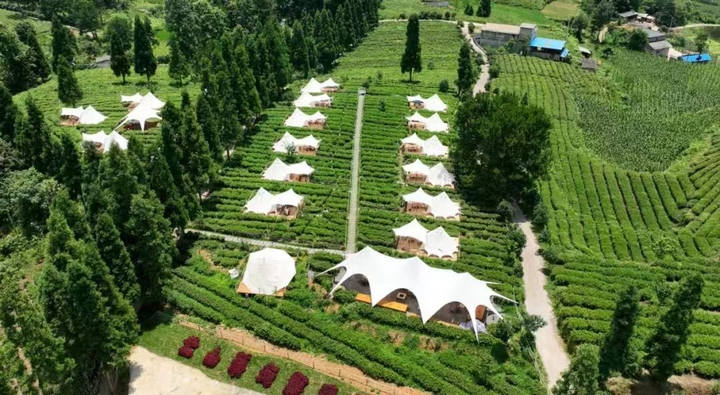 图为：禾丰乡云山茶海露营基地.jpg