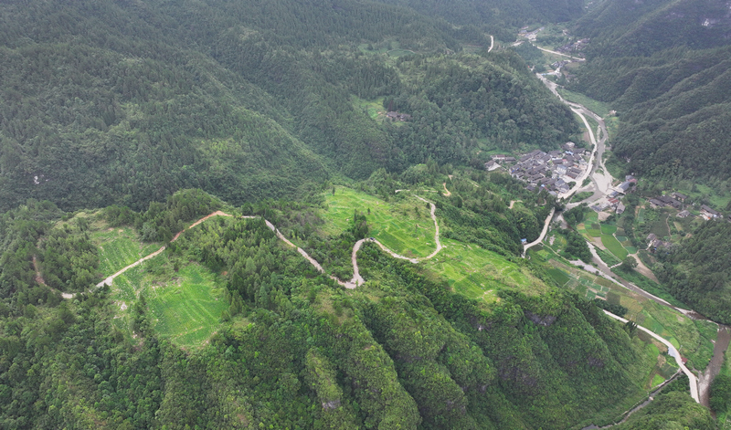 松桃苗族自治县冷水溪镇桐子坪村辣椒种植基地。