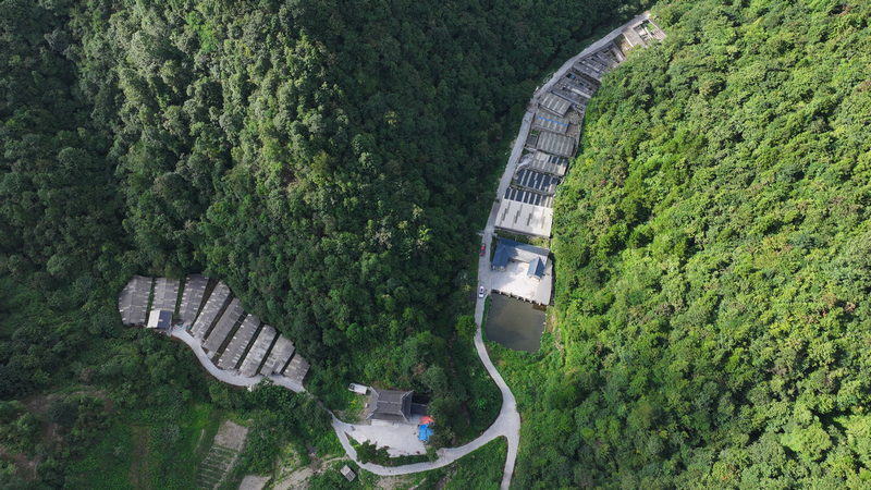 松桃苗族自治县冷水溪镇陶家沟村石蛙养殖基地。