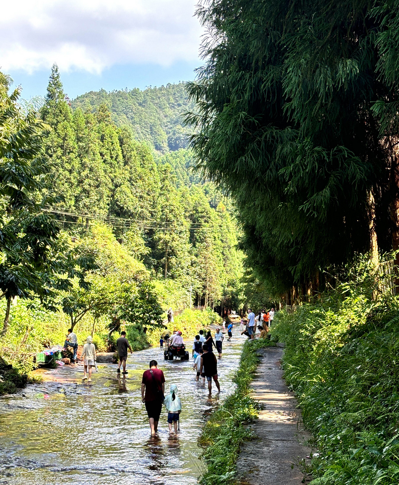 飞鸽 “水上公路”，游客戏水纳凉好热闹。江勇摄