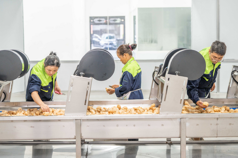 工人正在生產線上作業。