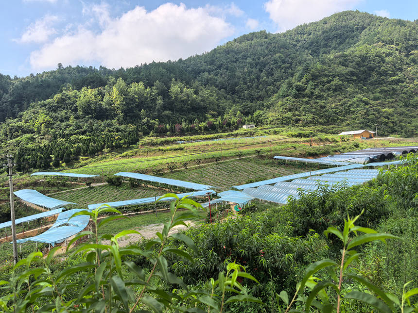 七星關區小壩鎮“錦繡田園”項目基地。