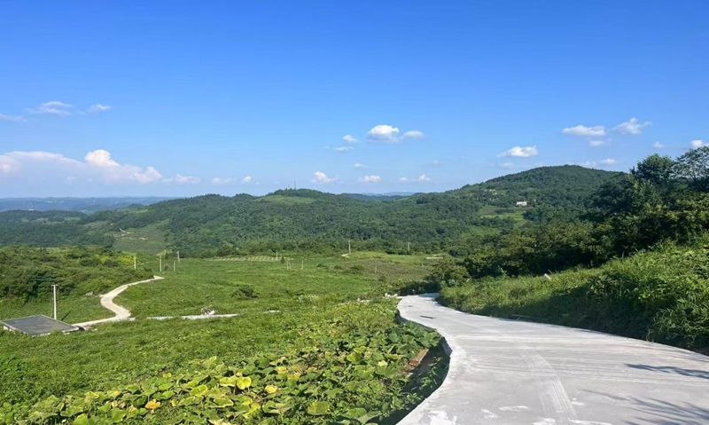 小寨壩鎮南中村硬化后的產業路。