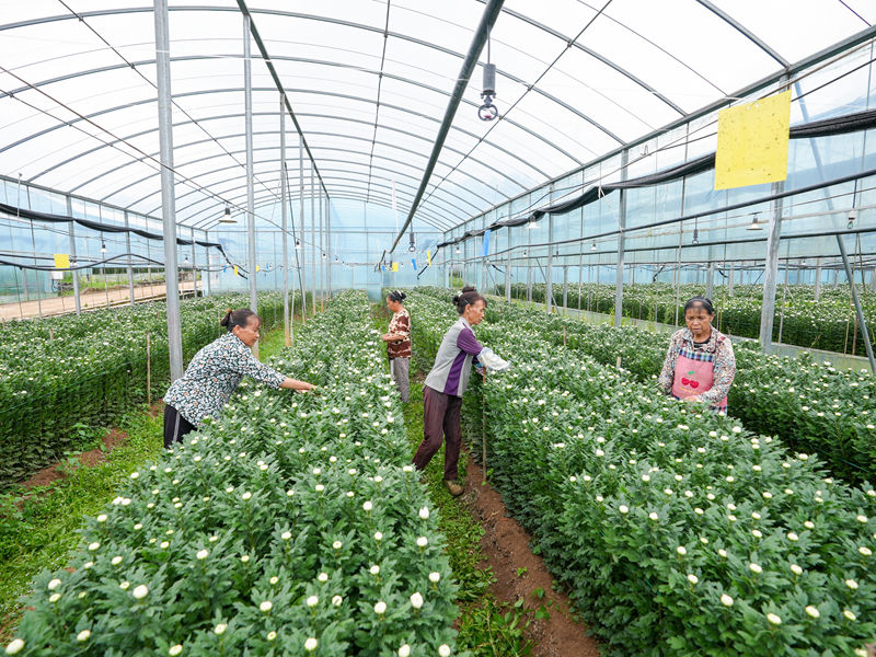 带动了当地群众就业。