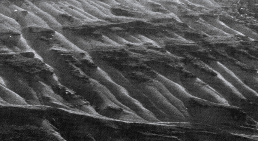 20世纪80年代的海雀村。赫章县林业局供图