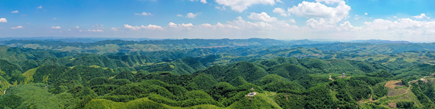 海雀村的万亩林海。赫章县林业局供图