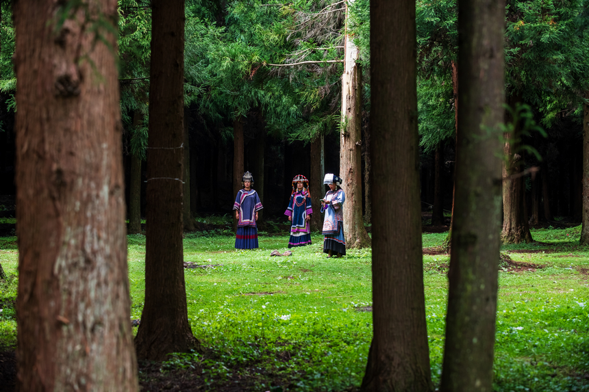 《清新雨夺箐》。肖本祥摄