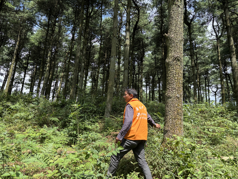 护林员李书国正在巡山护林。
