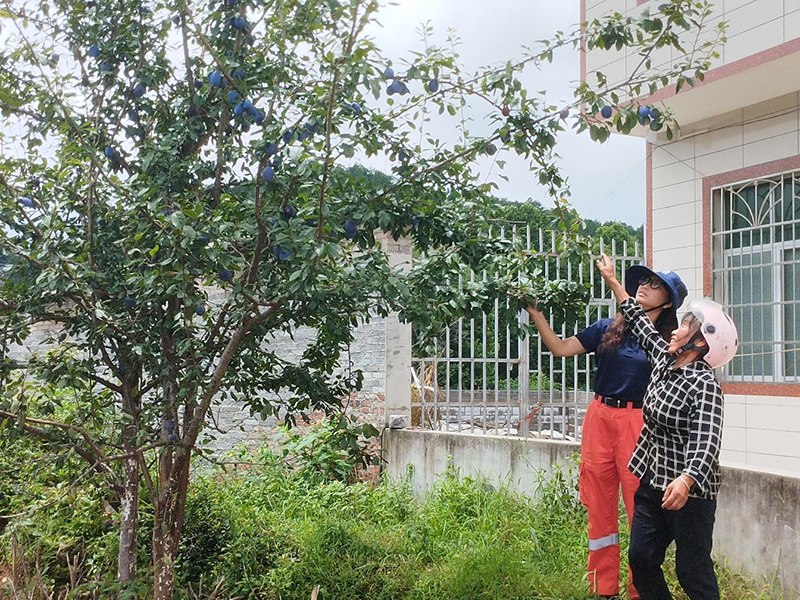 幫助農戶銷售農產品。