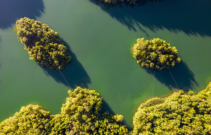 2025年8月14日航拍的贵州省毕节市百里杜鹃管理区境内的百里杜鹃湖。 