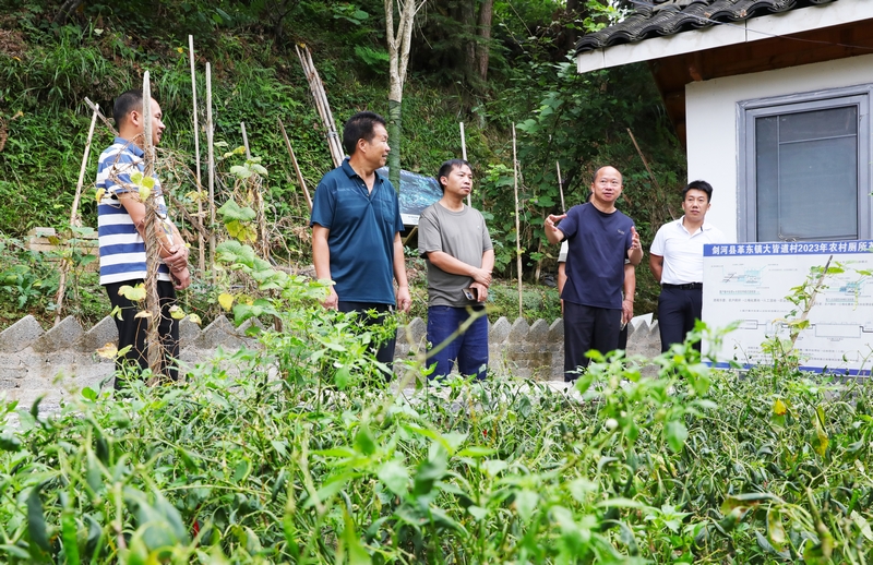 工作人员在向参观人员介绍革东镇皆道村的变化情况。 岑光柱 摄.JPG