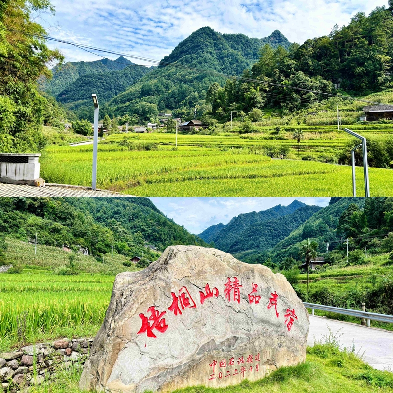 踏入梧桐山民宿的瞬间，喧嚣被青山滤得干干净净。.jpg