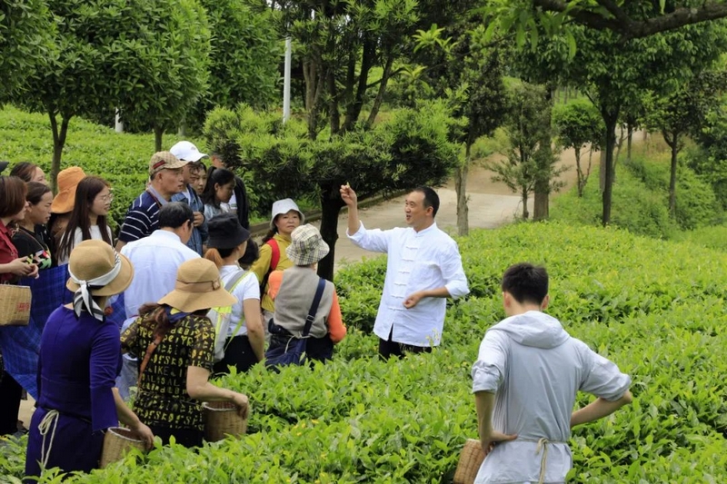 游客道茶叶基地.jpg