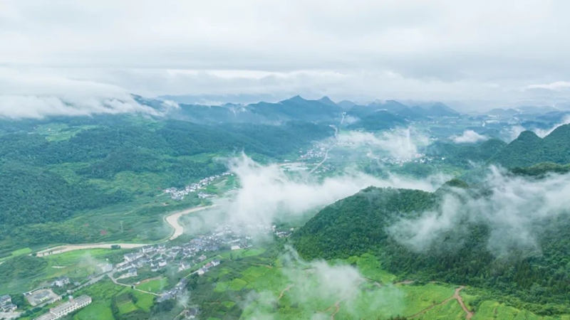 美丽乡村。