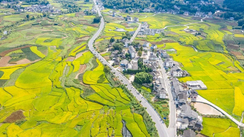 美丽乡村。