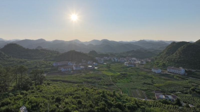 朱昌镇长冲村蔬菜基地。
