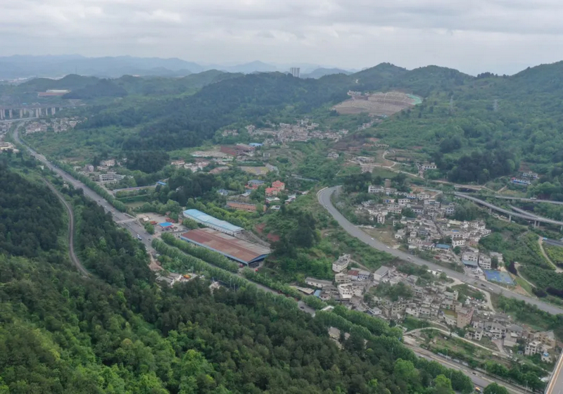 偏坡村全貌图。