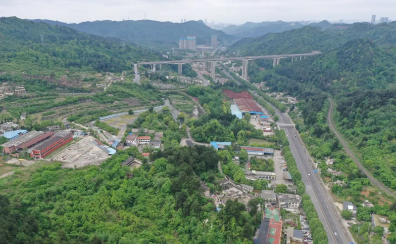 偏坡村主干道。