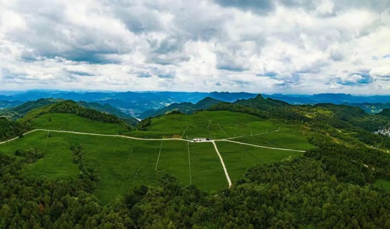 贵州铜仁：守护绿水青山 换得金山银山。