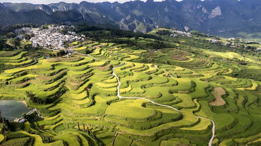 2025年8月25日拍摄的贵州省黔南布依族苗族自治州罗甸县沫阳镇羊场梯田一景。