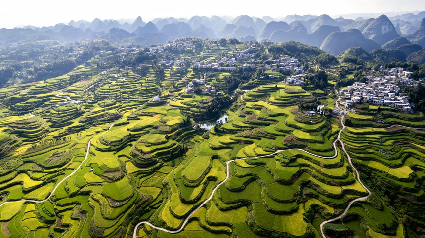 2025年8月25日拍摄的贵州省黔南布依族苗族自治州罗甸县沫阳镇羊场梯田一景。