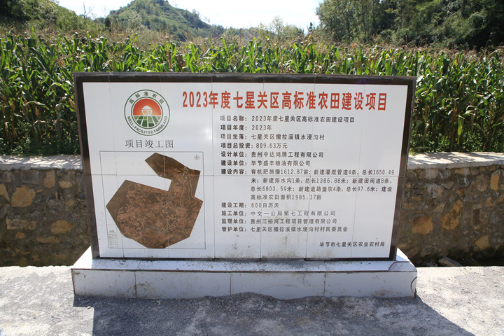 撒拉溪鎮水浸溝村高標准農田建設項目。