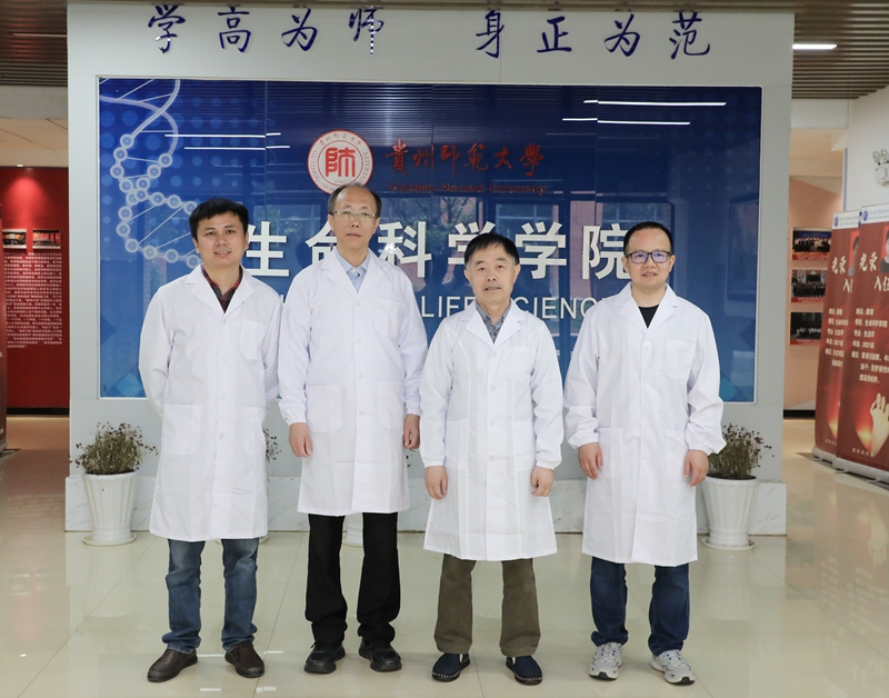 武汉大学帮扶贵州师范大学生物学团队成员，右二为孙蒙祥教授。